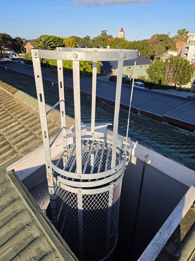 Galvanised safety catladder